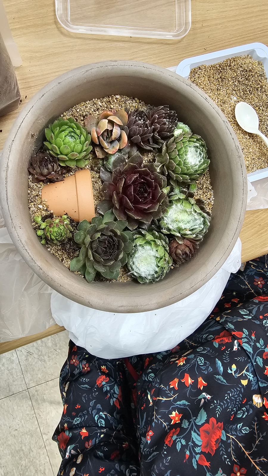 ac35110805cda94374b58339ea9019d7_1754379