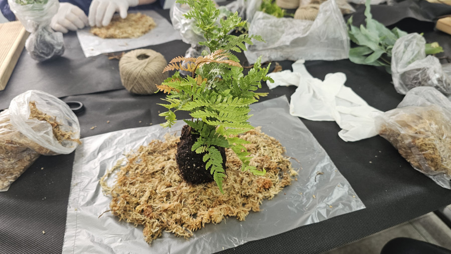 ac35110805cda94374b58339ea9019d7_1754381